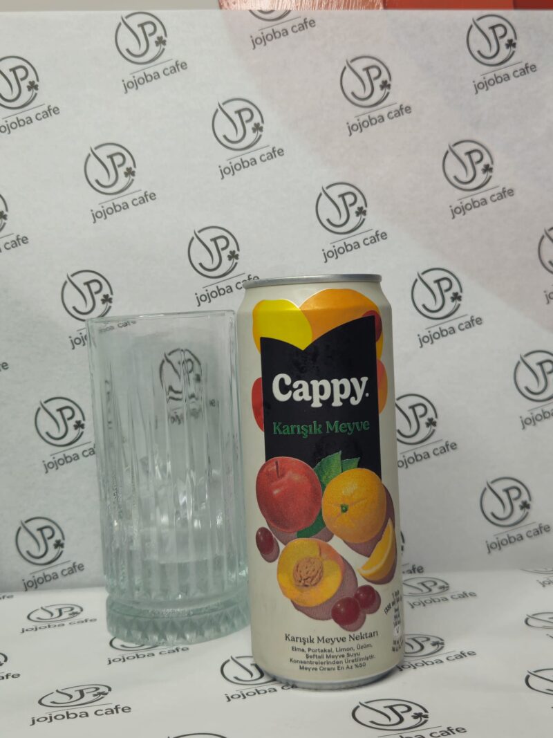 CAPPY KARIŞIK MEYVE SUYU