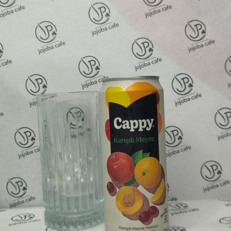 CAPPY KARIŞIK MEYVE SUYU